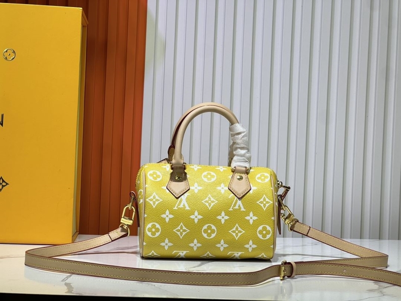 LV Speedy Bags